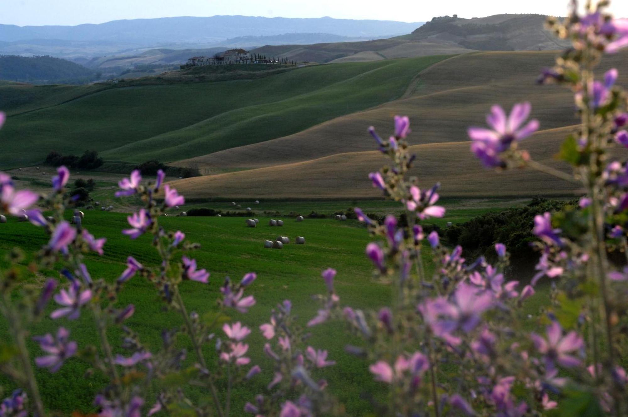 Agrihotel Il Palagetto Volterra Exterior foto